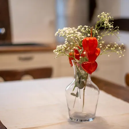 Bed & Breakfast Et D'hotes Maison Ungerer 4*