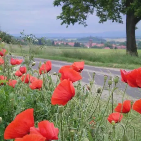 Et D'hotes Maison Ungerer Frühstückspension